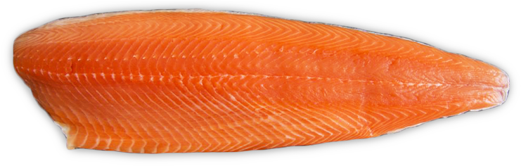 Salmon Fillet Png (750x235), Png Download