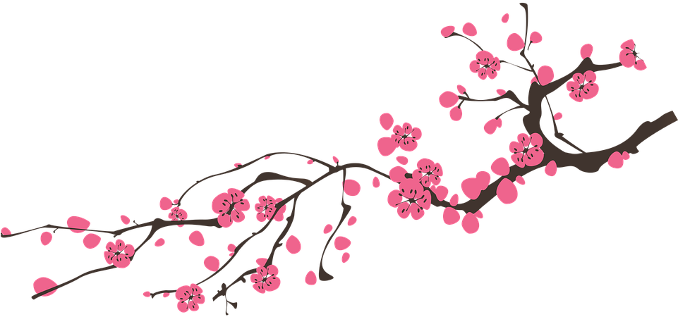 Peace In The Lord Jesus (960x480), Png Download