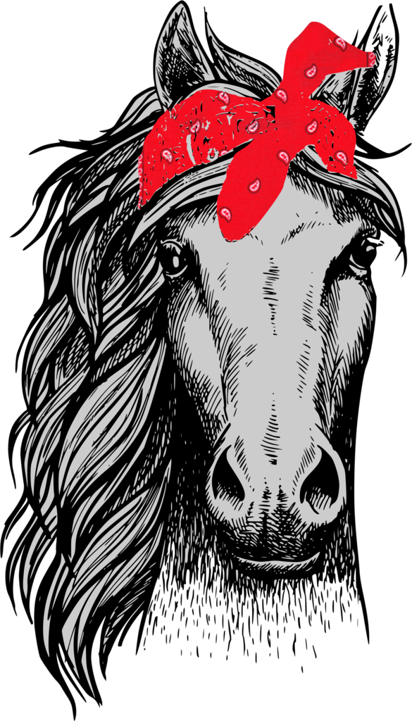 Horse Head - Horse Front View Drawing (585x1024), Png Download