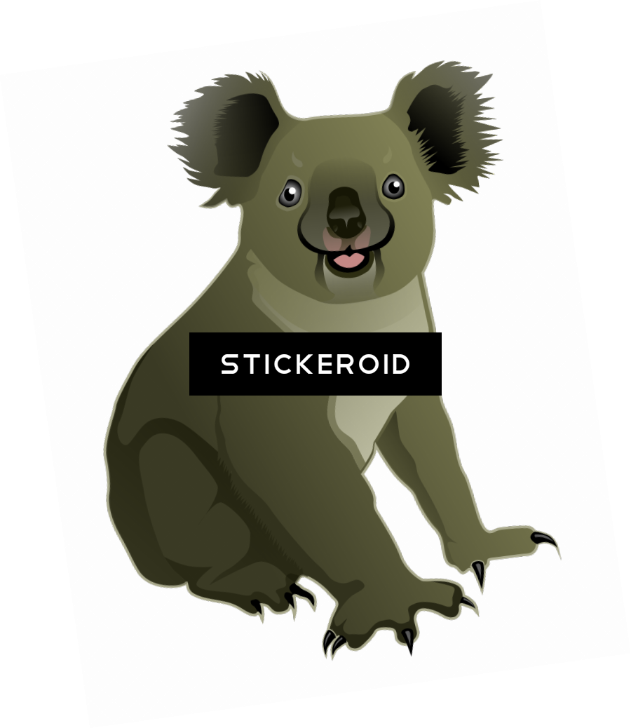 Koala - Koala Graphic Transparent Background (900x1038), Png Download