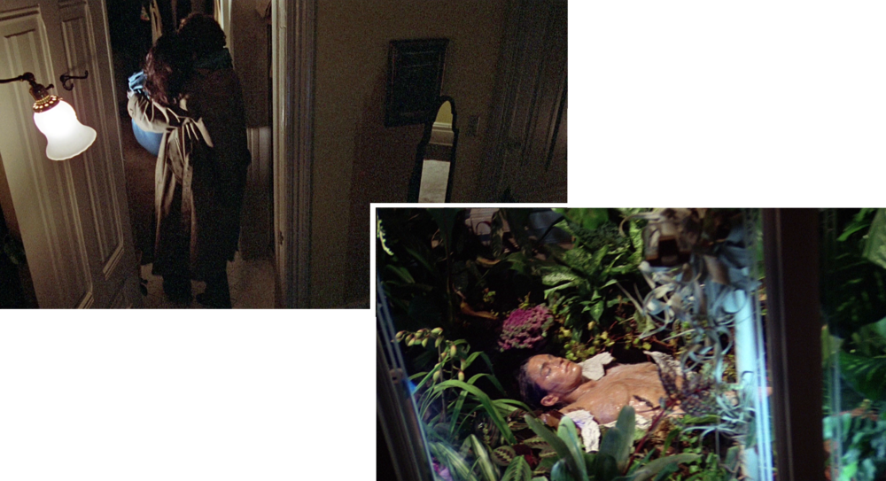 Mud Baths 6 - Mud Bath (1000x543), Png Download