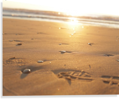 Pebble Stones And Footsteps On Sand At Sunrise Canvas - Rock (416x344), Png Download