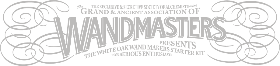 Wandmasters Starter Title - Lacrosse (920x219), Png Download