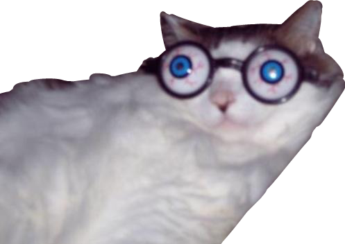 Report Abuse - Cat Fuck (497x352), Png Download