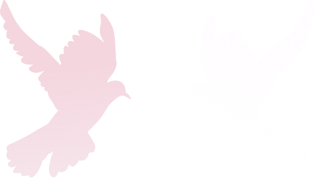 Angel Of Peace - Portable Network Graphics (1024x579), Png Download