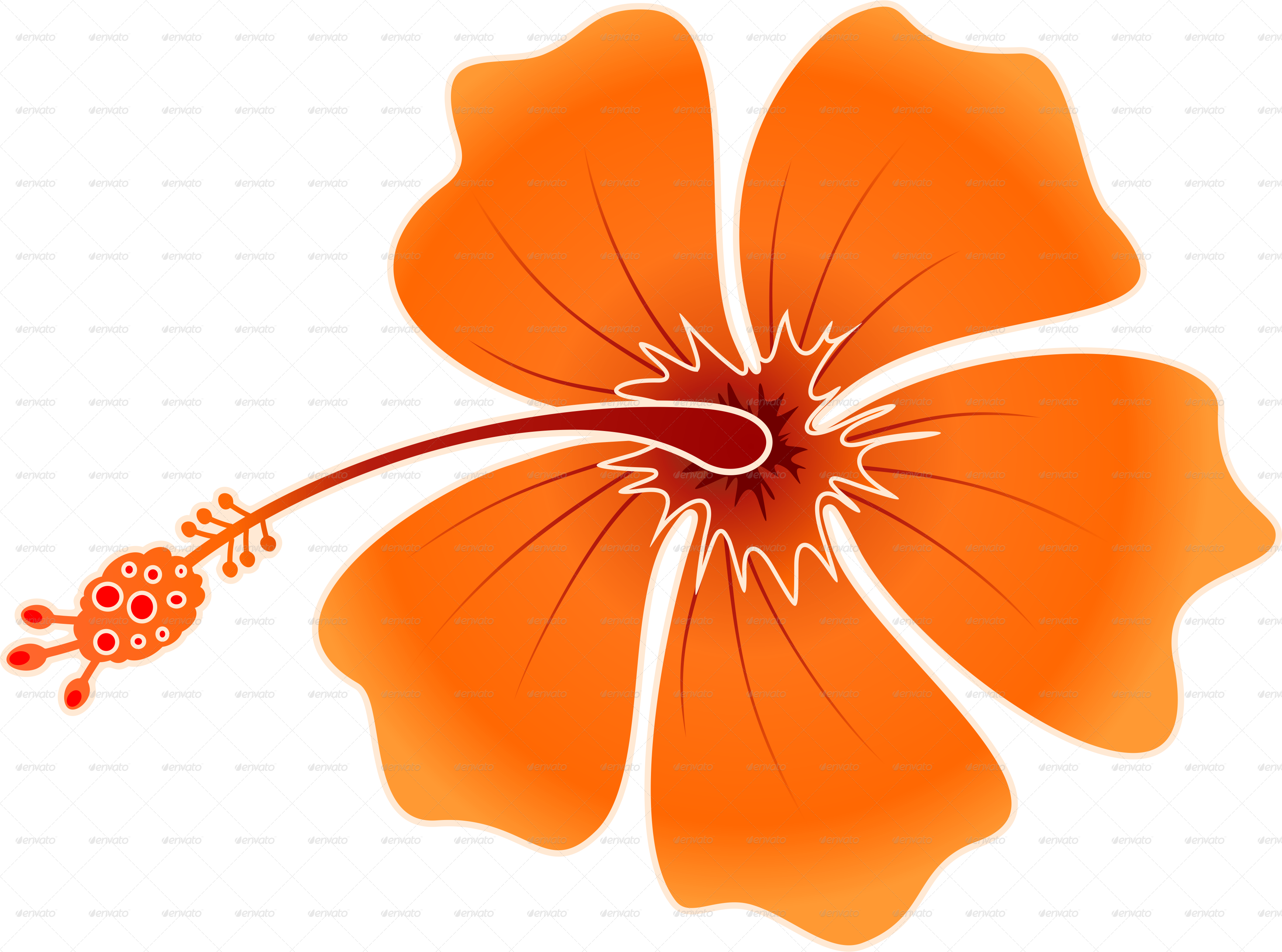 Png Image Information - Orange Hibiscus Cartoon (3474x2582), Png Download