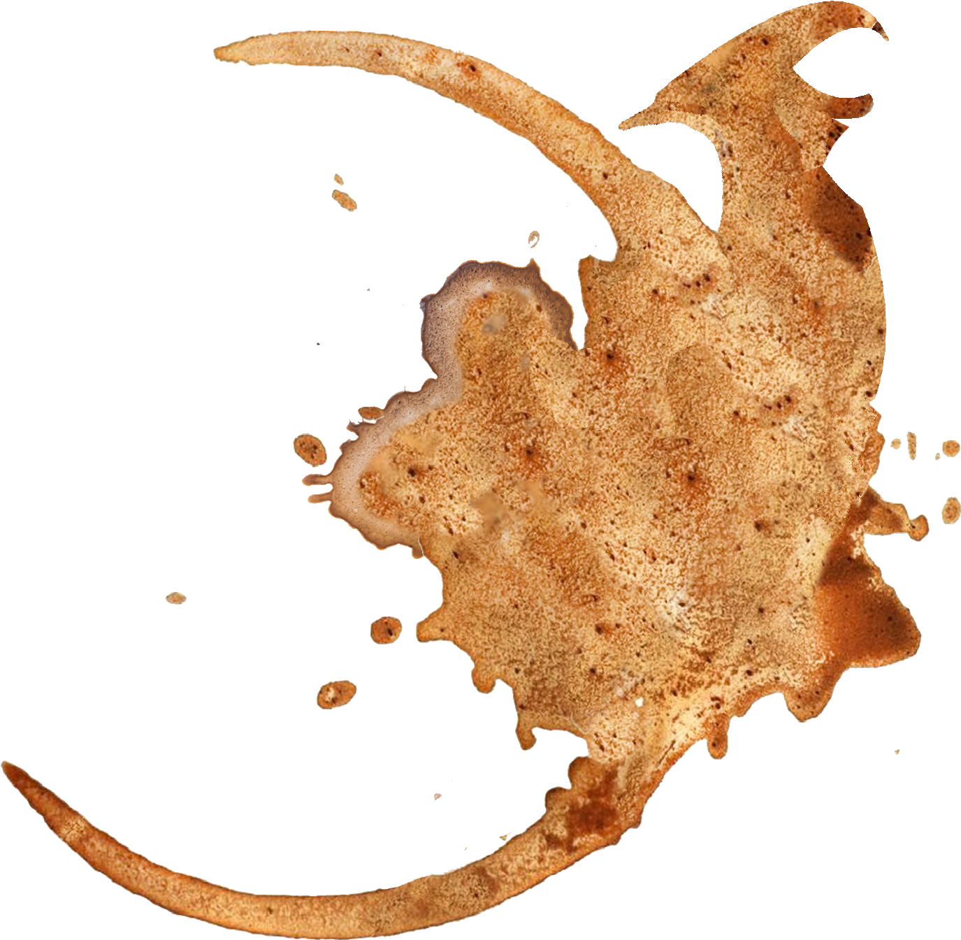 Deespot Notext Trans - Coffee Stain (1393x1392), Png Download