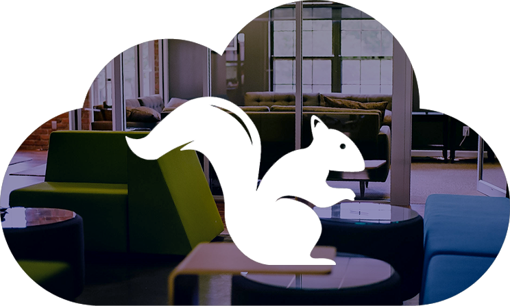 Meet Squirrels - Squirrel (744x447), Png Download