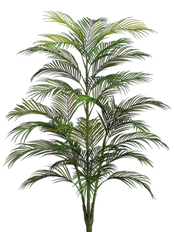 4' Plastic Areca Palm Tree X5 With 33 Leaves Green - Silk Plants Direct Areca Palm Tree - Green - Pack Of (800x800), Png Download
