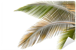 Withered And Yellow Palm Leaves King Duvet (400x400), Png Download