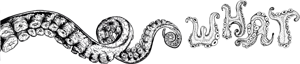 The Kraken Is A Wooden 24 Foot Interactive Installation - Illustration (1012x229), Png Download