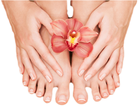 Voted - Hands And Feet Salon Png (495x400), Png Download
