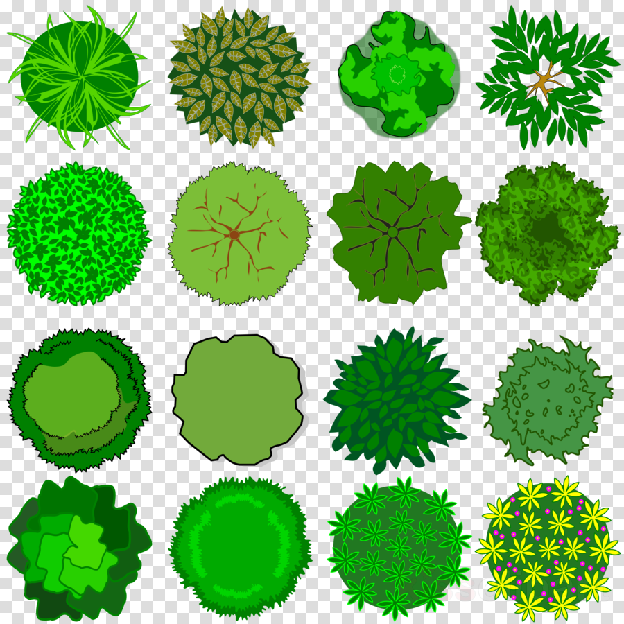 Download Top View Tree Vector Clipart Tree Clip Art - Juvia's Place Bella Thorne (900x900), Png Download