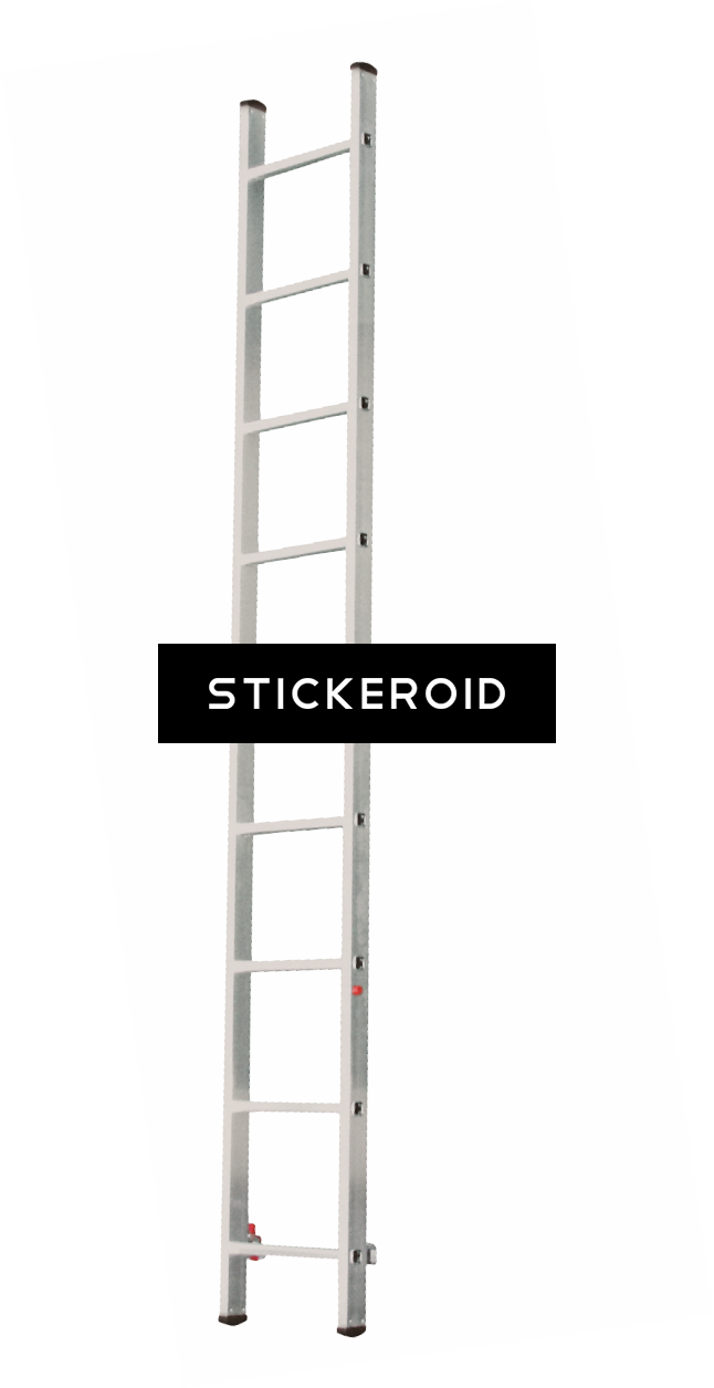 Step Ladder - Shelf (646x1255), Png Download