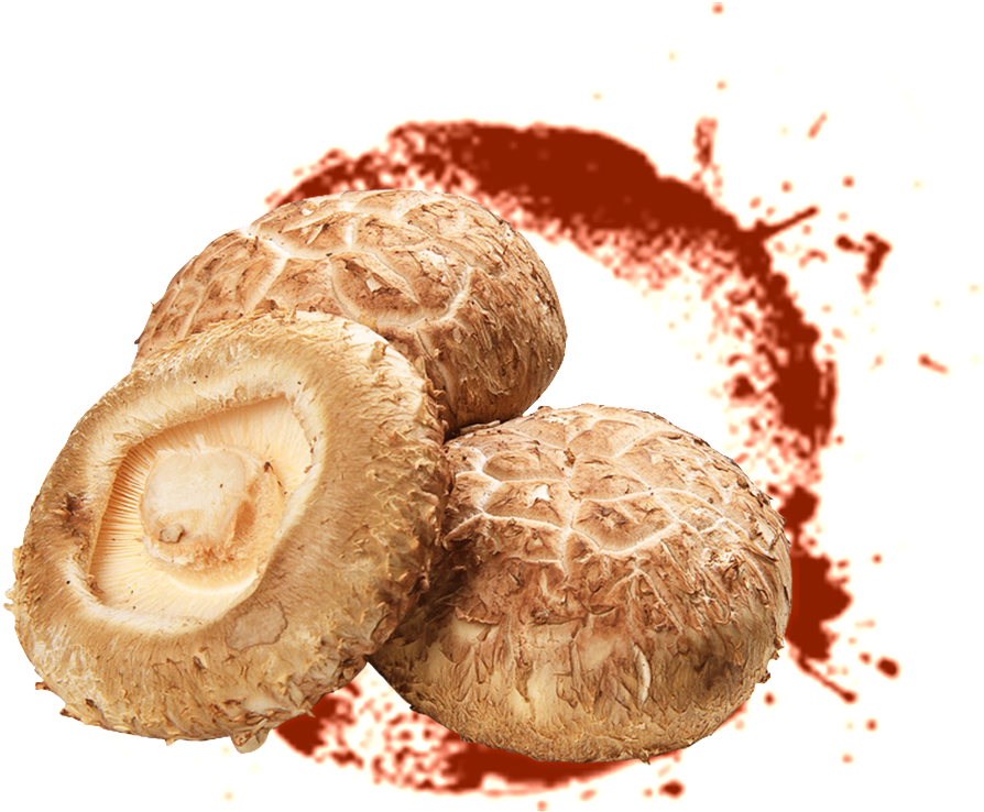 Delicious Mushroom Png - Shiitake (1024x1024), Png Download