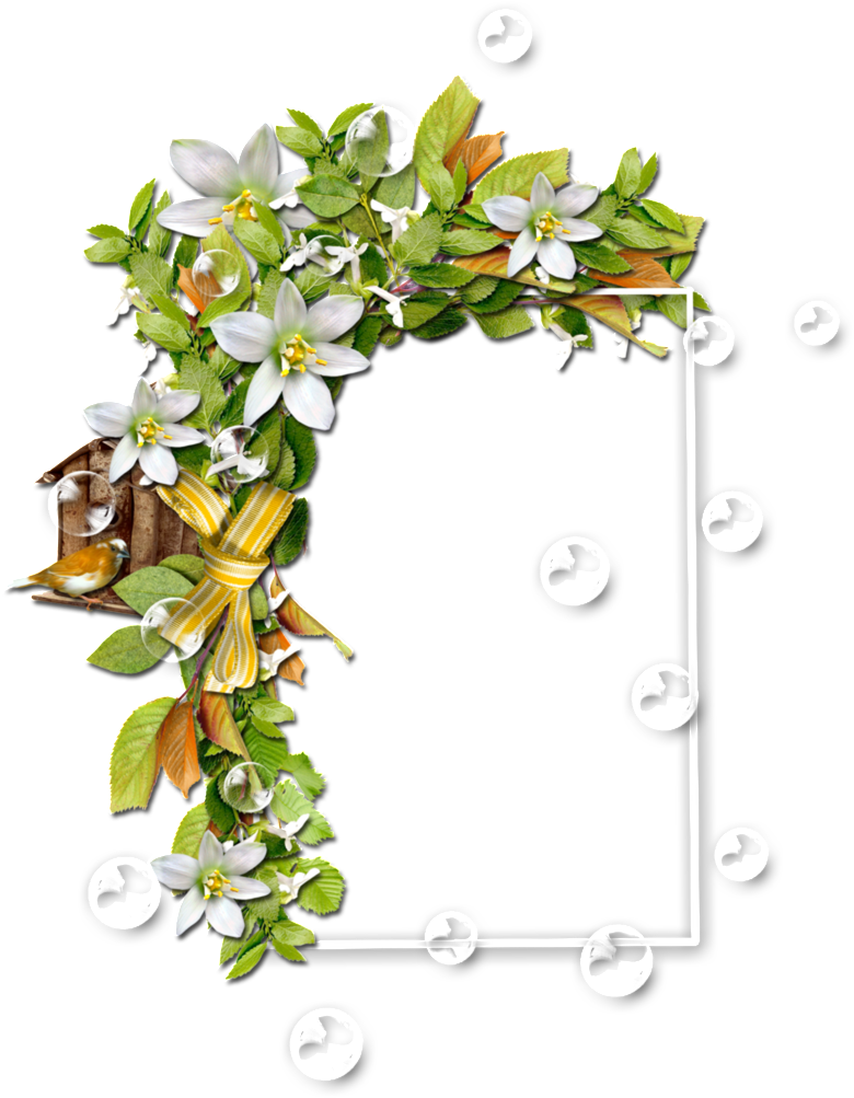 Colorful Color Floral Border Transparent - Portable Network Graphics (1024x1024), Png Download