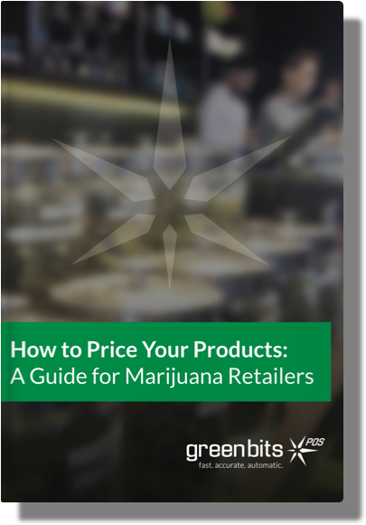 Book Cover - Dmm Guidebook Cover (800x600), Png Download