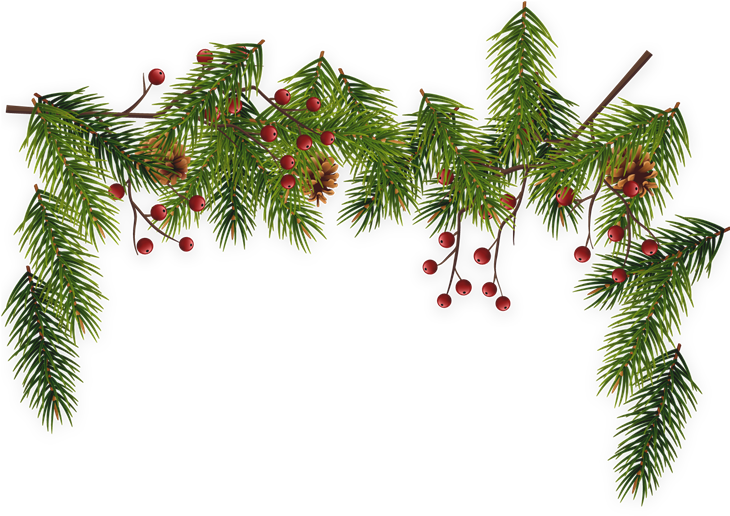 Resize - Christmas Tree (729x539), Png Download