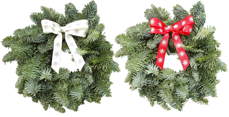 8in Decorative Winter Garden Real Christmas Wreath - Christmas Day (800x800), Png Download