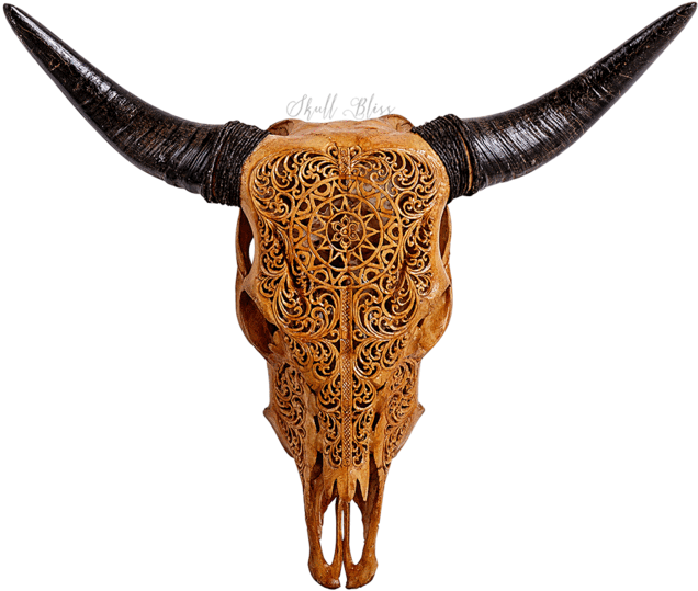 Carved Cow Skull // Xl Horns - Horn Skull Turquoise (645x645), Png Download