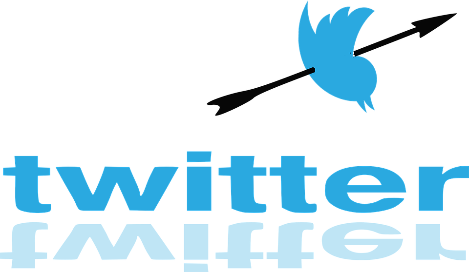 Twitter Just Banned Gavin Mcinnes After He Denounced - Twitter Rip (960x558), Png Download