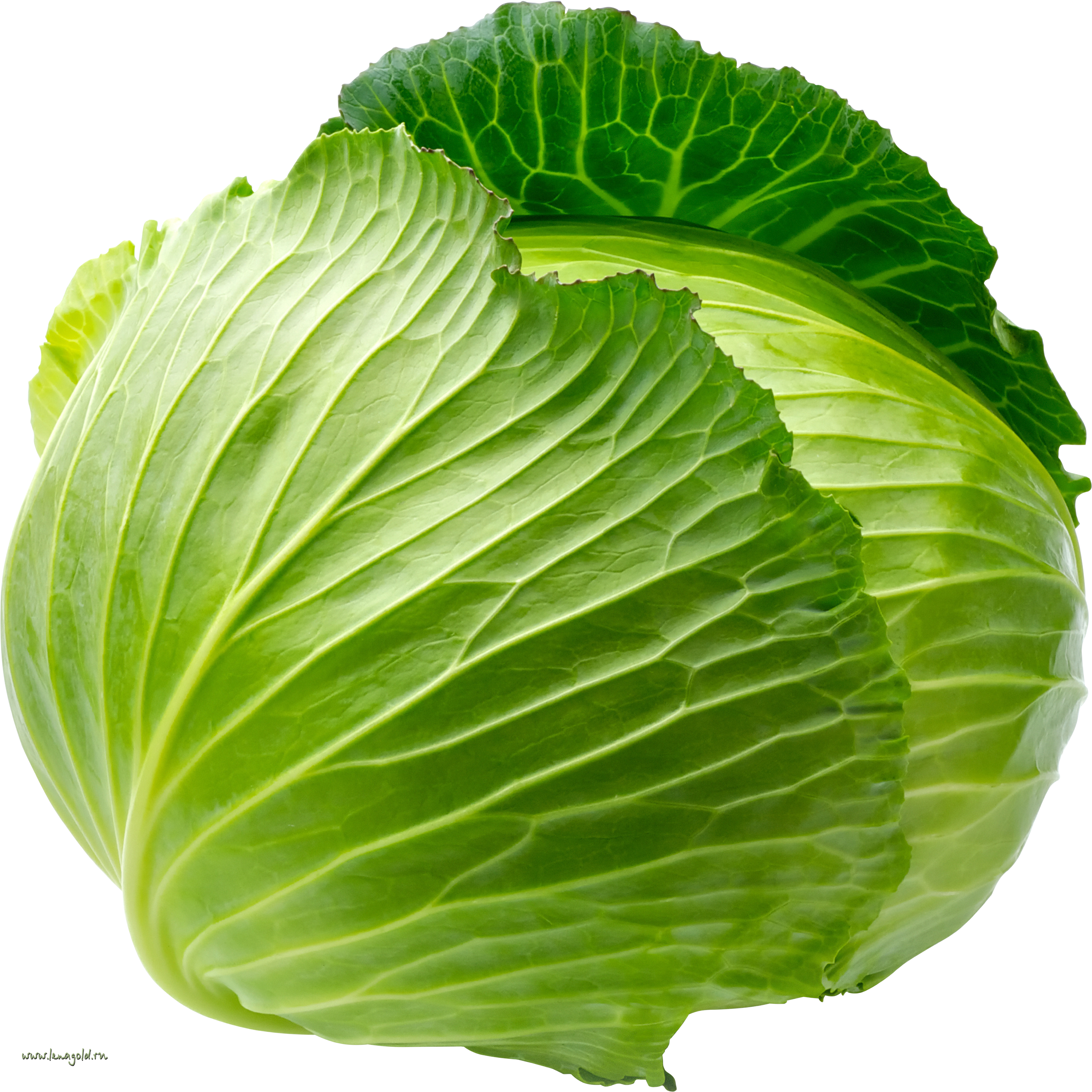 Cabbage Png (2683x2684), Png Download