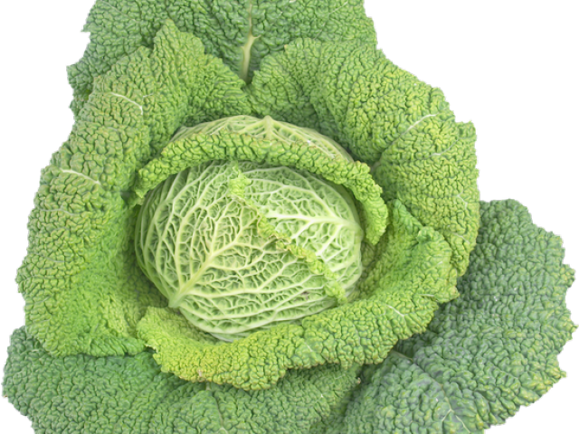 Cabbage Png Transparent Images - Vegetable (640x480), Png Download
