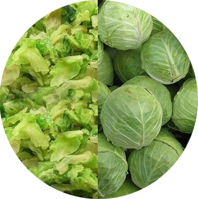 Dehydrated Cabbage - Cabbage (395x396), Png Download