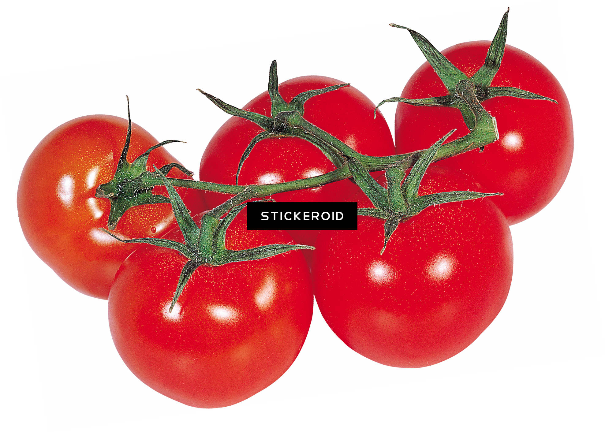 Tomato (1977x1412), Png Download