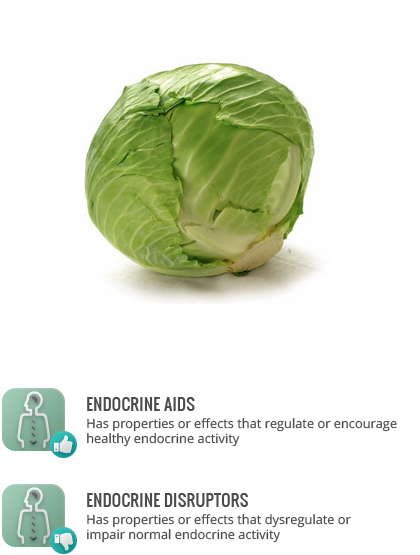 Tags - - Fresh Green Cabbage Lb (420x555), Png Download