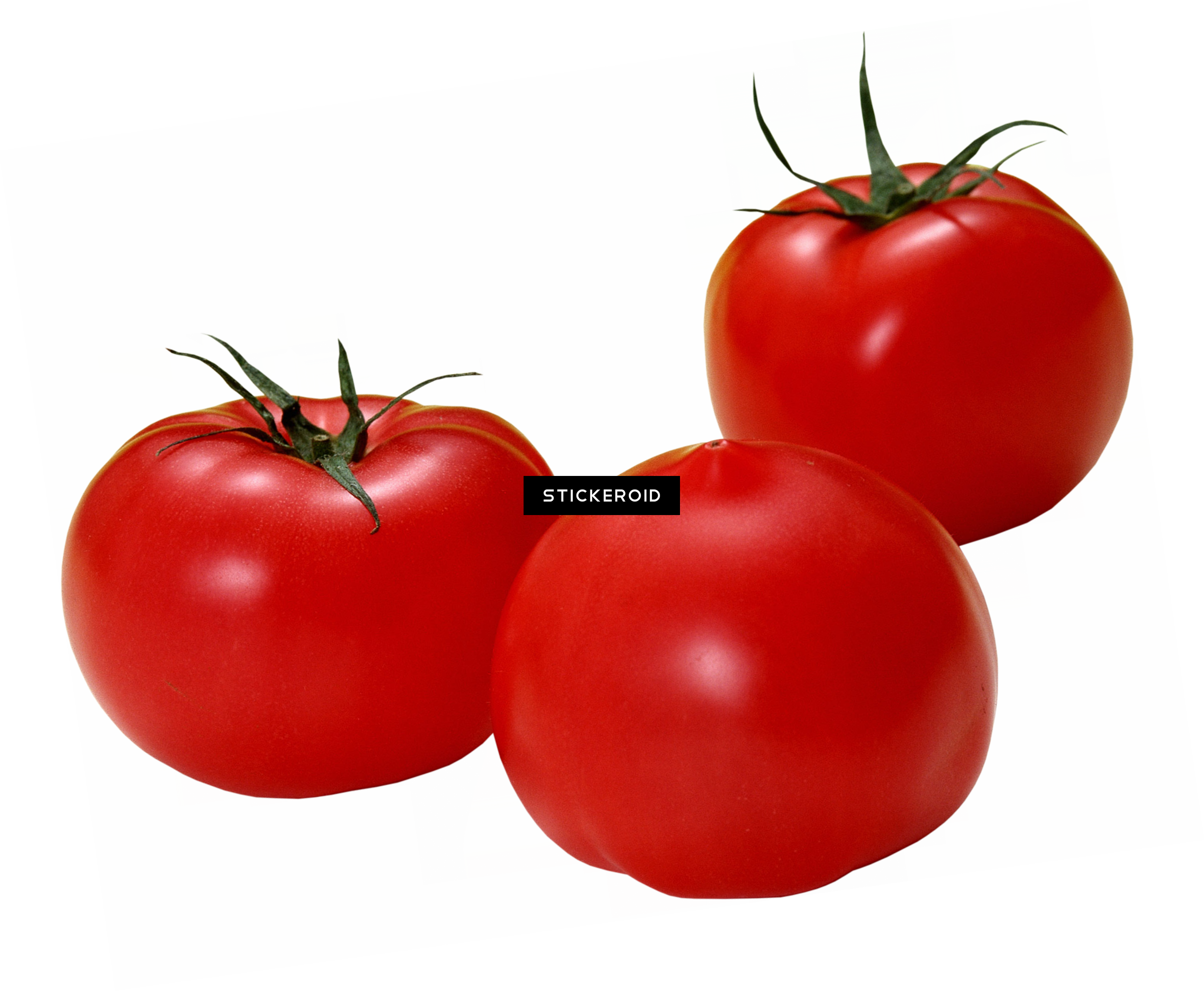 Tomato - Plum Tomato (2771x2280), Png Download