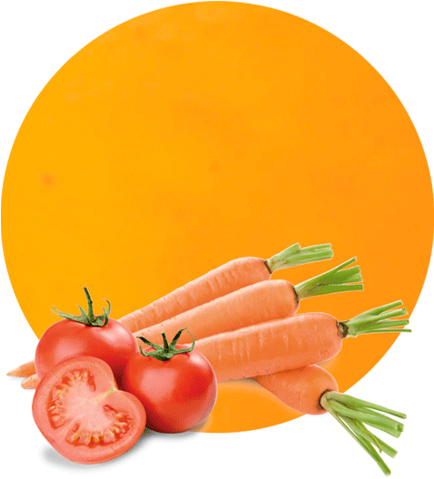 Tomato & Carrot Concentrate - Rutgers Tomato (red) 4 Plants - Great For Canning (536x595), Png Download