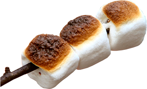 Toasted Marshmallows (500x500), Png Download