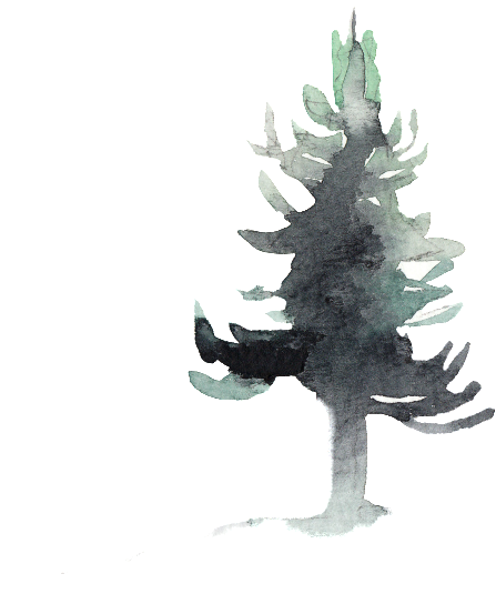 Creative Ink Painting Pine Transparent Watercolor - Water (1024x1024), Png Download