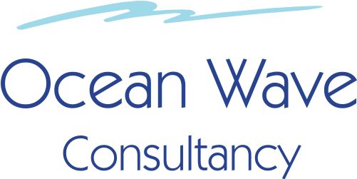 Ocean Wave Consultancy - Hr Consultancy (500x302), Png Download