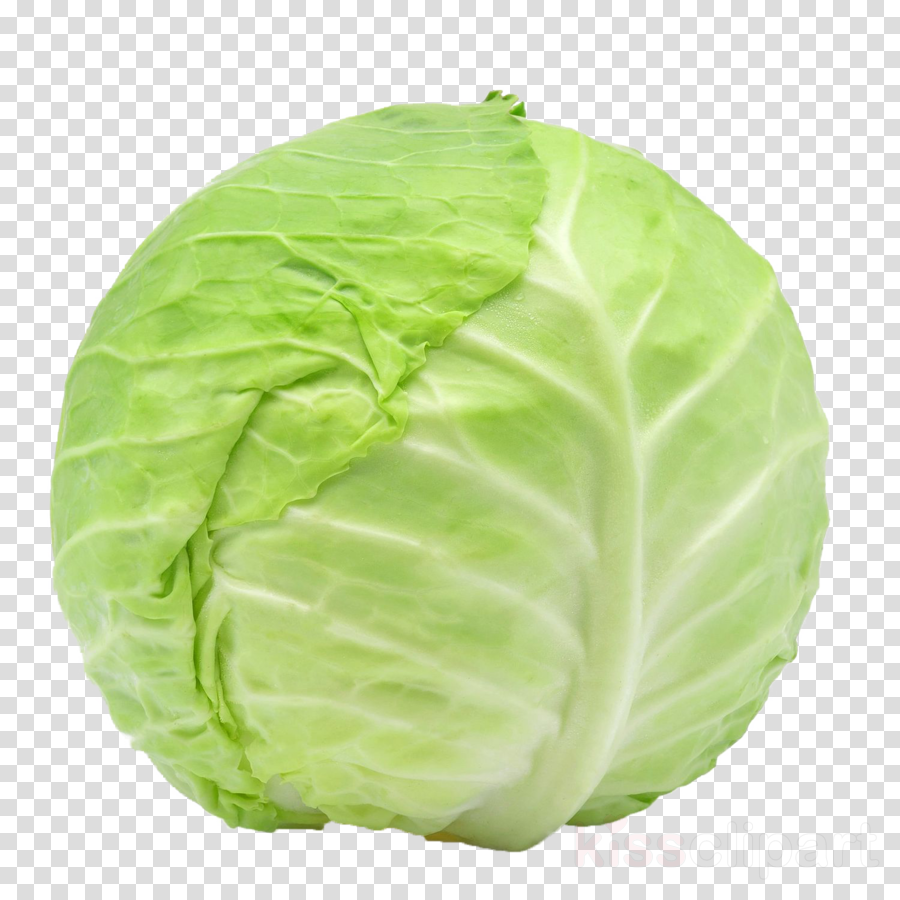 Cabbage Png Clipart Cabbage Leaf Vegetable Cauliflower - Iphone Emoji (900x900), Png Download