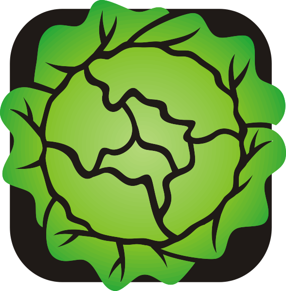 Lettuce Clip Art (588x598), Png Download