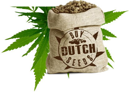 The Problem With Trying To Grow Cannabis Is That It's - Weed Png Seed (474x294), Png Download