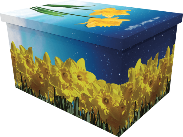 Daffodils Ashes Casket - Coffin (600x448), Png Download