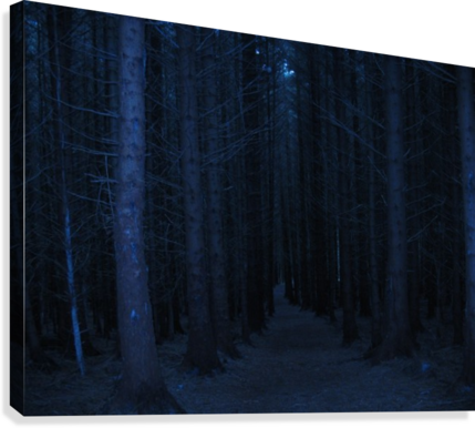 Spooky Wood Canvas Print - Grove (429x386), Png Download