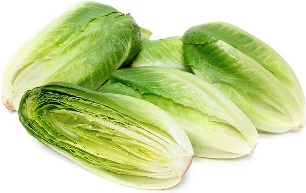 O Organics Organic Salad Baby Romaine - Artisan Romaine (600x600), Png Download