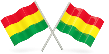 Bolivia Flag Bandera De Bolivia Png Full Size Png Download Seekpng
