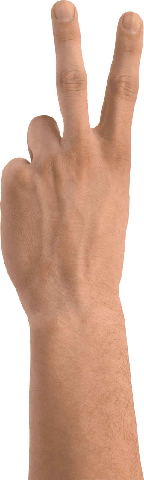 Free Png Two Finger Hand Png Images Transparent - Hand Two Fingers Png (481x1602), Png Download