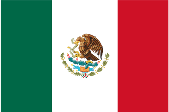 Mexican Flag Medium - Mexico Flag Transparent (570x600), Png Download