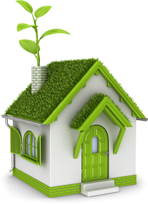 Go Green - Ways To Improve The Quality Of Air (300x412), Png Download