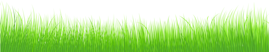 Download Grass Clipart Grasses Grassland Desktop Wallpaper - Transparent Background Grass Clipart (900x190), Png Download