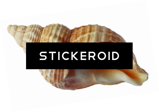 Shell - Film Posters Of The 50s (537x377), Png Download