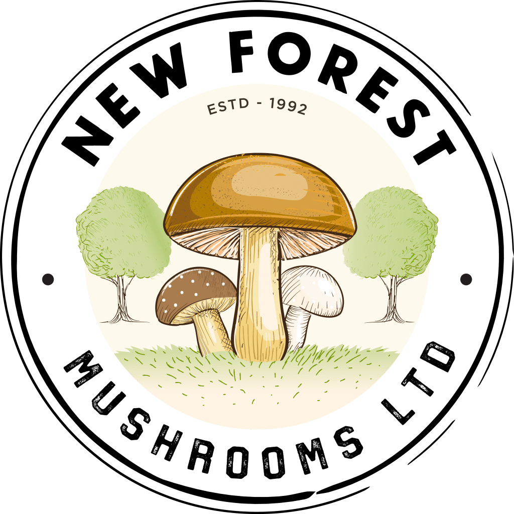 New Forest District (1024x1024), Png Download