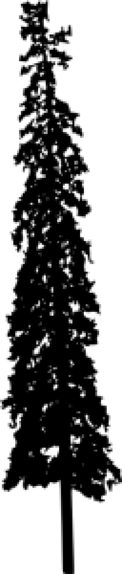 Small Of Pine Tree Silhouette - Portable Network Graphics (480x2250), Png Download