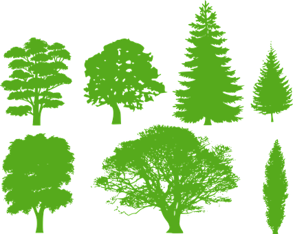 Trees, Silhouette, Variety - Forest Tree Silhouette (426x340), Png Download